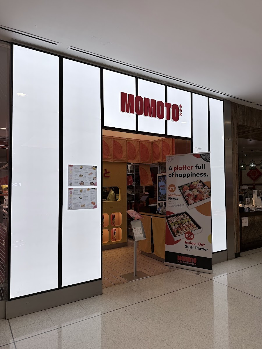 Momoto World Square-3