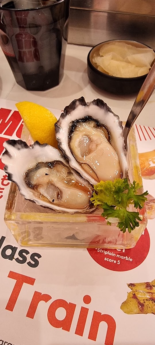 Momoto World Square-7