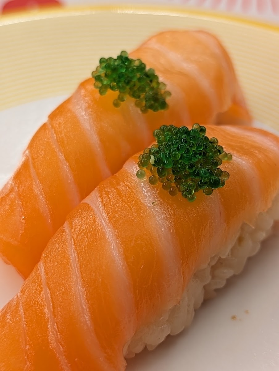 Momoto World Square-8